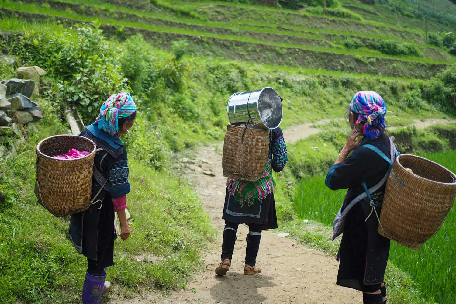 donne vietnamite coi loro cesti in mezzo alle risaie