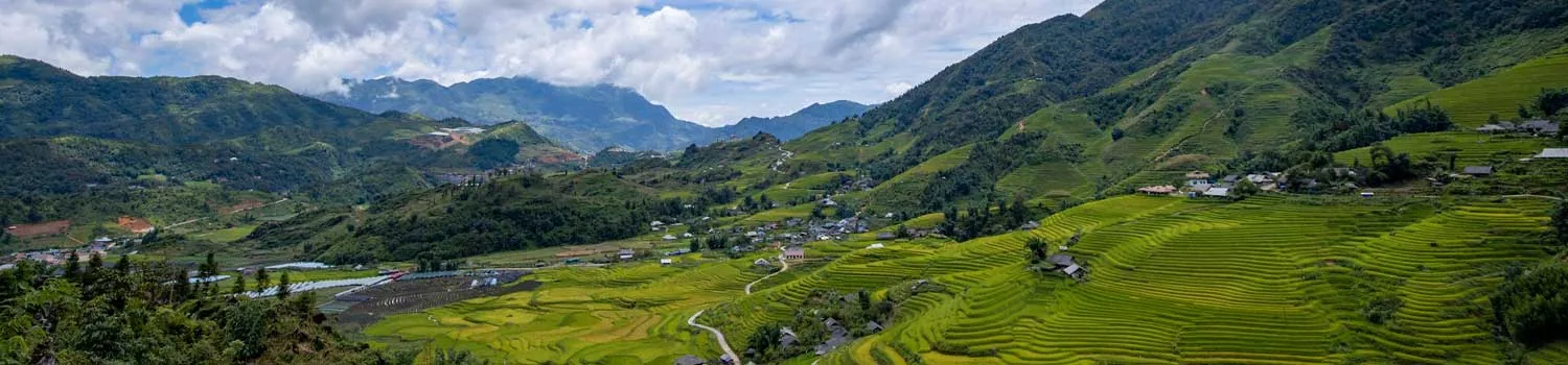 verde distesa vista dall'alto, Sapa 